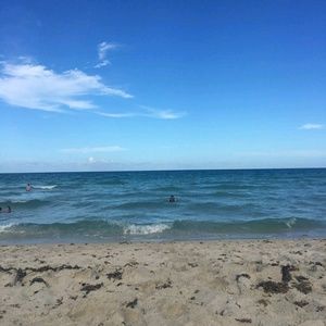 Meet your Posher, Reyna